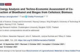 “Net Energy Analysis and Techno-Economic Assessment of Co-Production of Bioethanol and Biogas from Cellulosic Biomass”